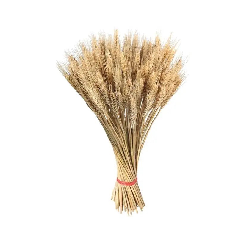 100pcs Dried Wheat Sheaves Dried Flowers Natural Dried Home Decor Flowers