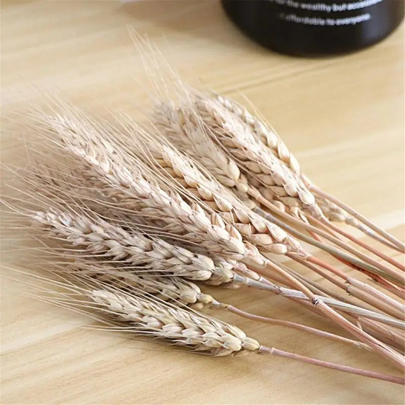 100pcs Dried Wheat Sheaves Dried Flowers Natural Dried Home Decor Flowers