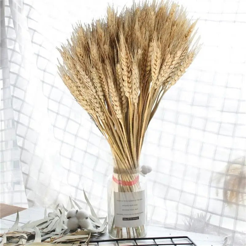 100pcs Dried Wheat Sheaves Dried Flowers Natural Dried Home Decor Flowers