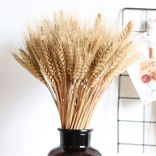 100pcs Dried Wheat Sheaves Dried Flowers Natural Dried Home Decor Flowers